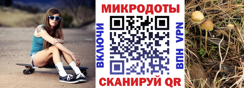как найти закладки  Артёмовский  Псилоцибиновые грибы мухоморы 